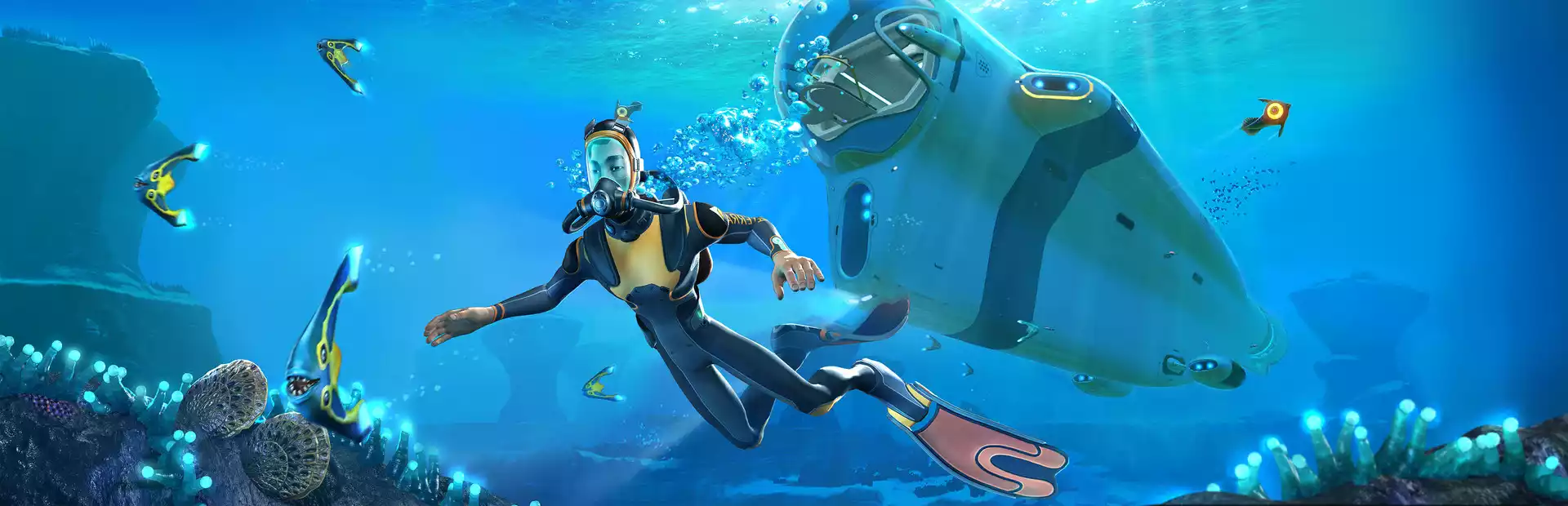 Subnautica Key China