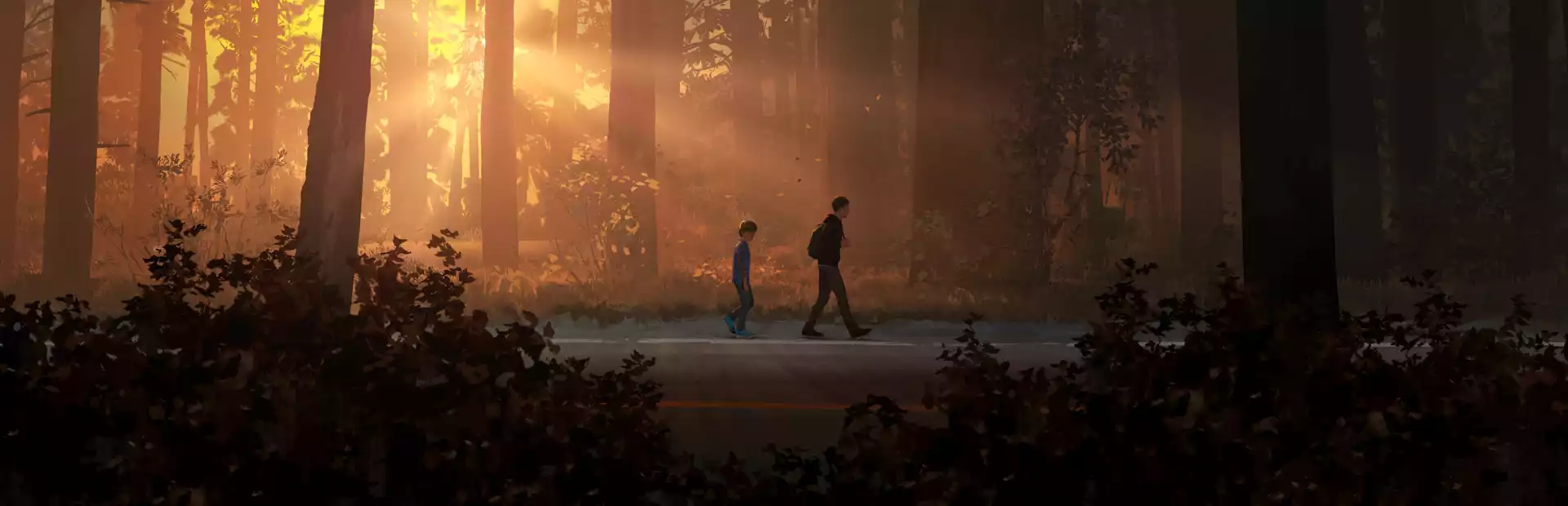 Life is Strange 2 Complete Season Steam Key GLOBAL