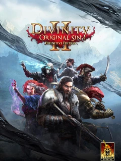 Divinity: Original Sin 2 Steam Gift China